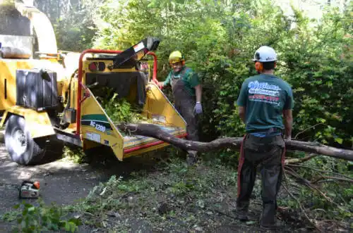 tree services Hardwick